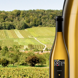 Bouteille avec AOC et vignes derrière